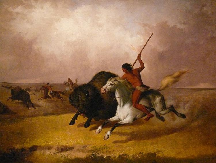 John Mix Stanley Buffalo hunt on the Southwestern plains Spain oil painting art